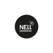 nell_gerberas